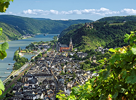 Oberwesel (Rhine)