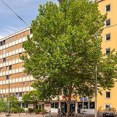 4 Gebäude